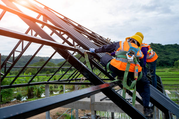 Best Local Roofing Companies  in Hanna City, IL