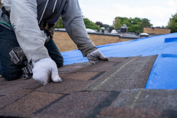 Best Commercial Roofing Services  in Hanna City, IL