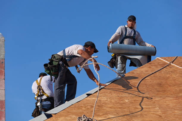 Best Gutter Installation and Roofing  in Hanna City, IL