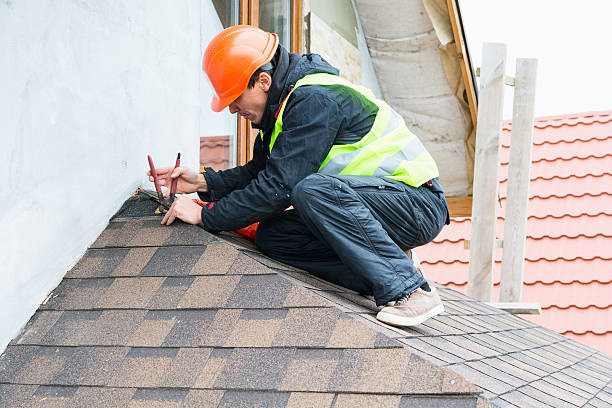 Best Roof Inspection Near Me  in Hanna City, IL